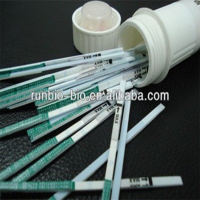 medical diagnostic test urine pregnancy test strip